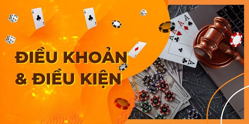 Những lợi ích thành viên nhận được khi tuân thủ điều khoản và điều kiện